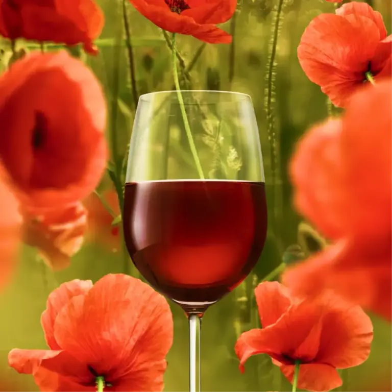 Campagne Biodiversité